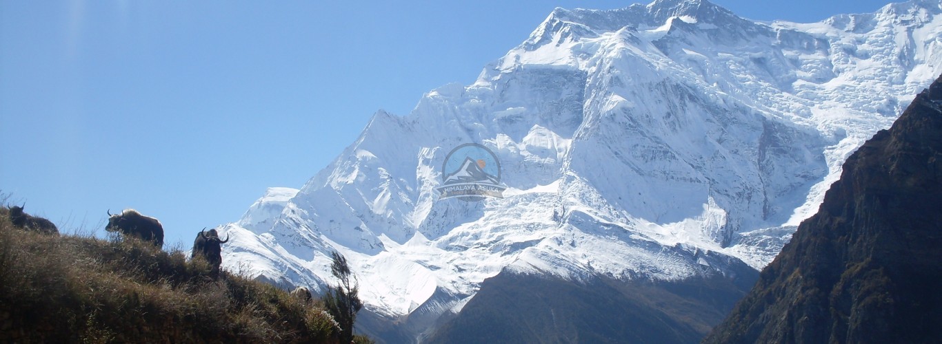 Annapurna Circuit Trek